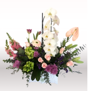 ARREGLO FRIDA PLANTA DE ORQUIDEA DE CASCADA CON JARNDÍN DE FLORES