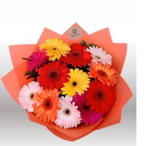Bouquet Fantasy 12 gerberas