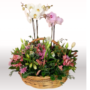 CANASTA JULIANA ORQUIDEAS DE DOBLE VARA CON TULIPANES