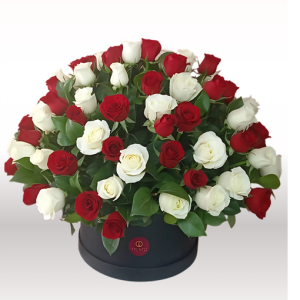 Caja Montserrat 100 rosas rojas y rosas blancas