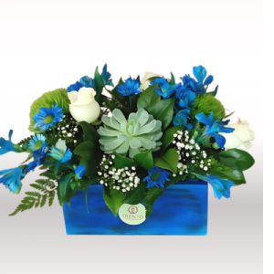 Caja SKY BLUE rosas, flores mixtas y Suculenta