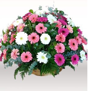 CANASTA ÁMBAR 100 gerberas