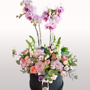Caja Mamaíta Orquídea con un jardín de flores mixtas