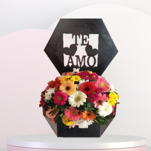 Caja Alegría de Amor gerberas y flores mixtas